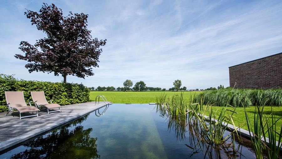 ZWEMVIJVERS KRIJGEN EEN LUXUEUS RANDJE