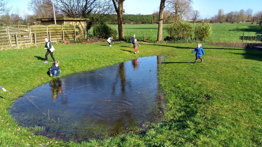 Comment fonctionne l'infiltration de l'eau de pluie dans un wadi?