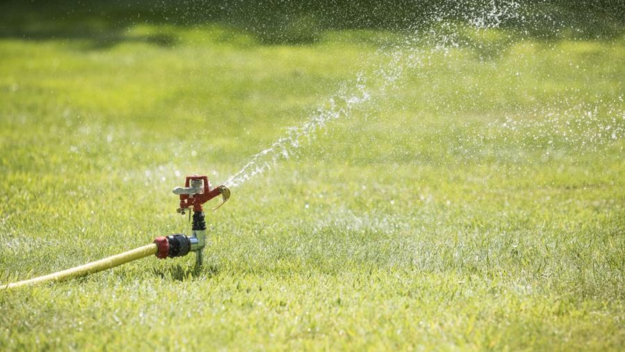 Efficacité dans le jardin: immersion dans les systèmes d'arrosage