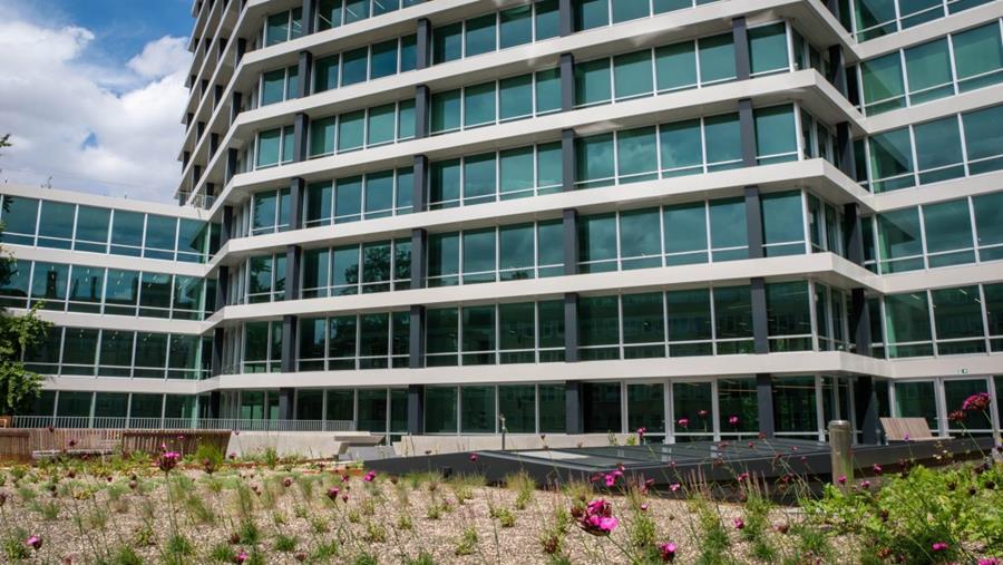 Toits verts étendus sur la Tour Louise rénovée