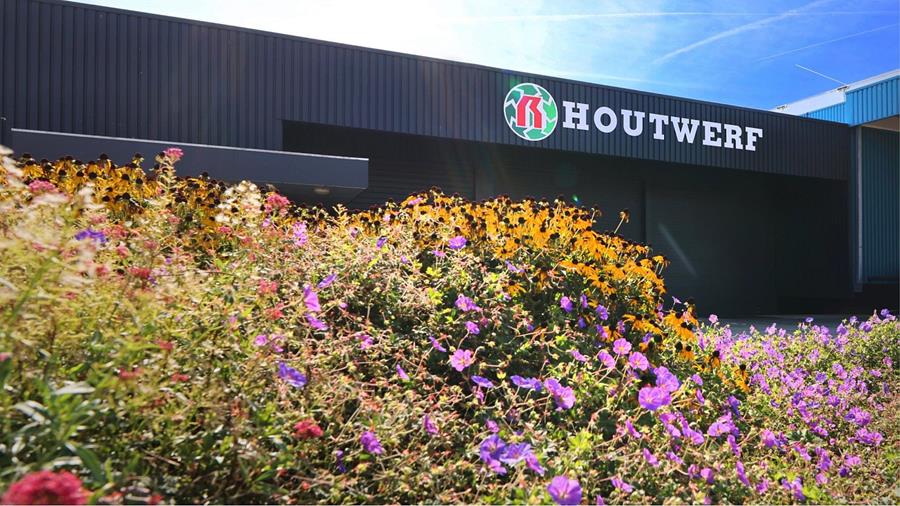 Deli Home, Houtwerf en Distri-Hout bundelen krachten