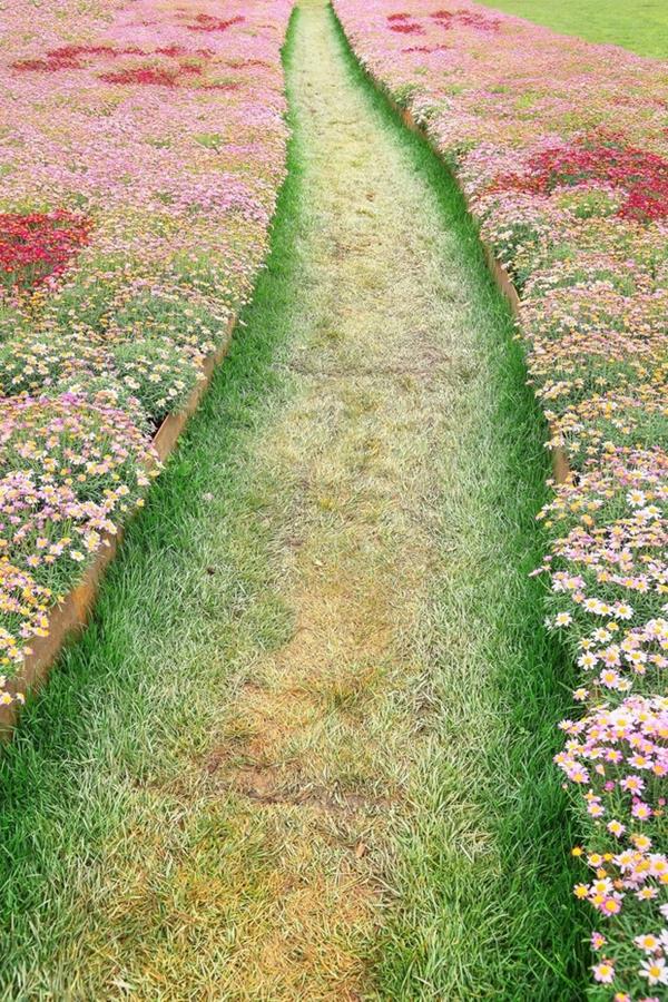 L'hôpital, centre de jardinage des marguerites