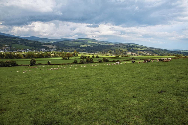 La balade irlandaise