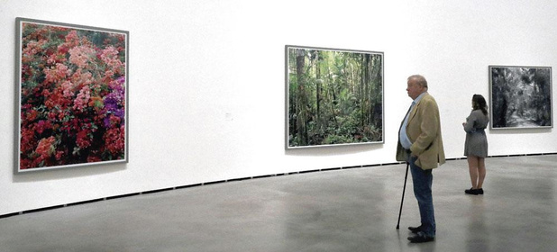 Photo-peintures