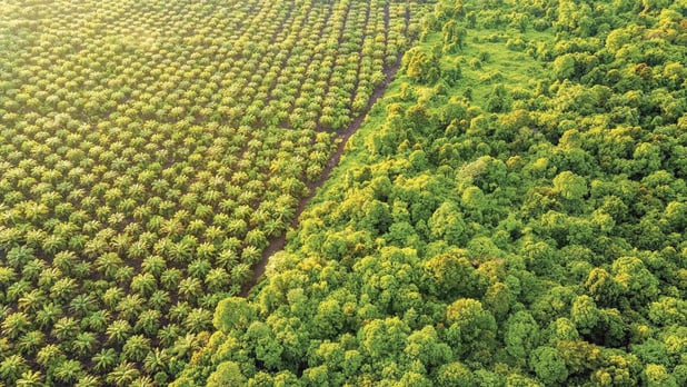 Et voilà que les fonds protègent la biodiversité! 