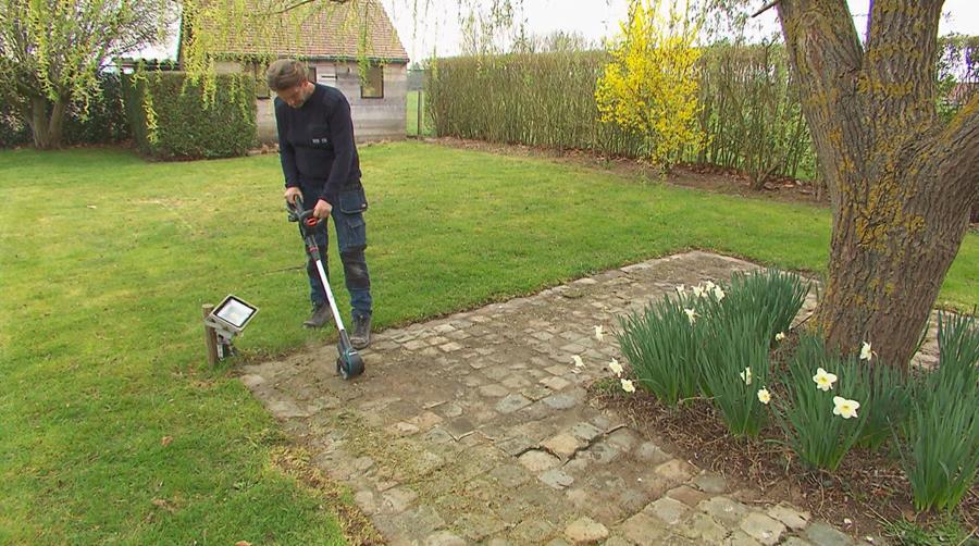 Conseils de jardinage pratiques pour le printemps