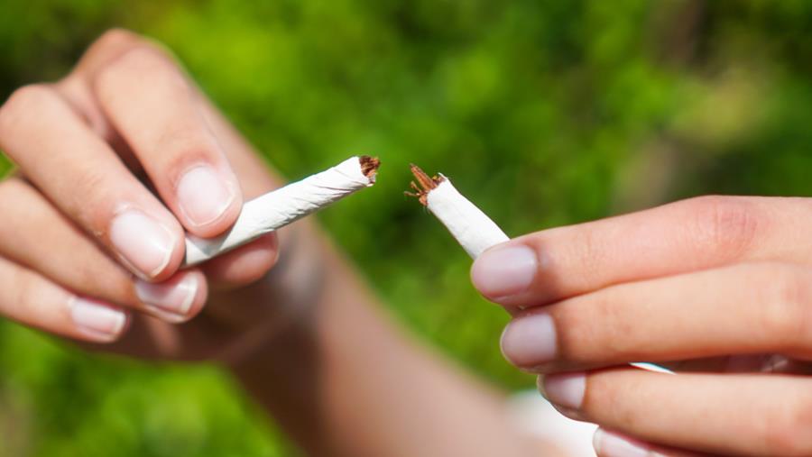 Omni™: dix ans d'innovation pour un avenir sans tabac