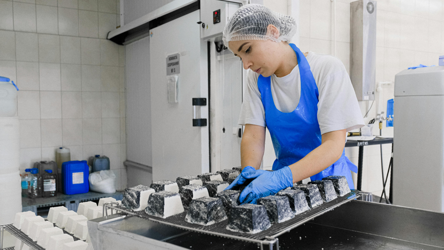 Hoe kunnen voedselcrises het best worden beheerd?