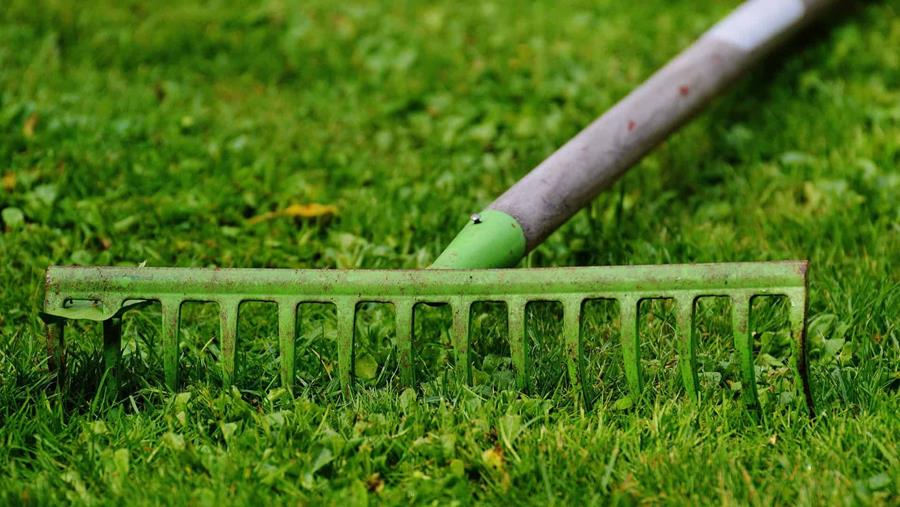 Outils à manche dans le jardin